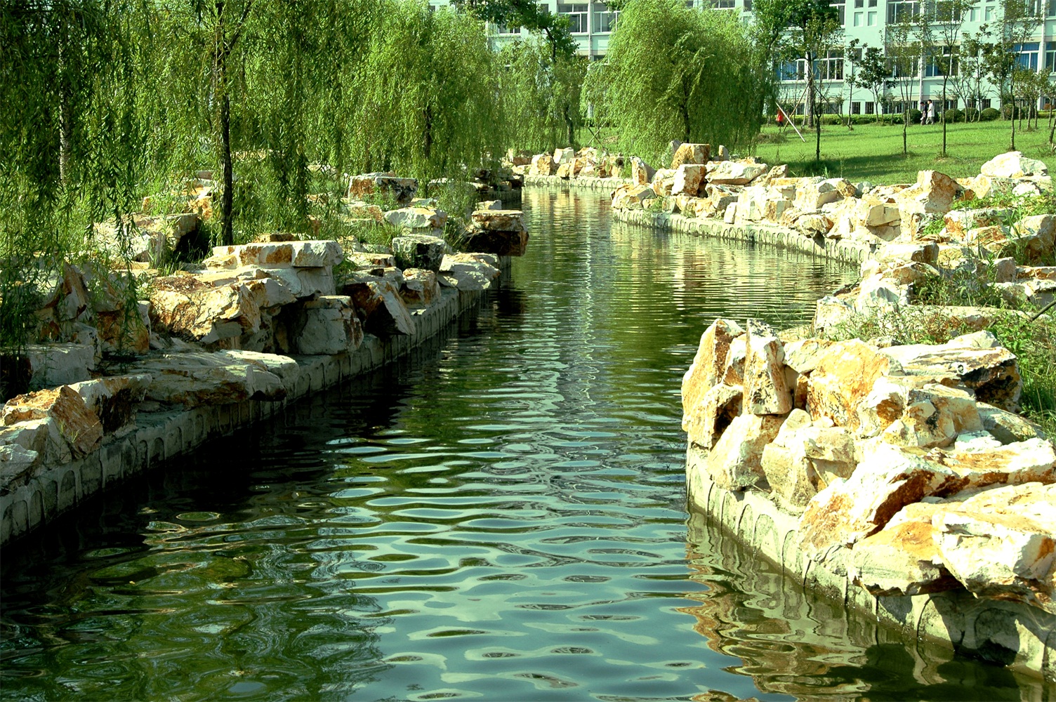枚乘路校区